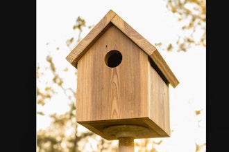 Youth Woodworking 1: Bird House & Tool Box